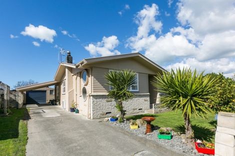 Photo of property in 17 Winchester Place, Tamatea, Napier, 4112