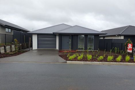 Photo of property in 10 Ash Lane, Omokoroa, 3114