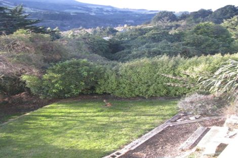 Photo of property in 165 Evans Street, Opoho, Dunedin, 9010