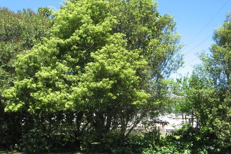 Photo of property in 6 Vivian Street, Inner Kaiti, Gisborne, 4010