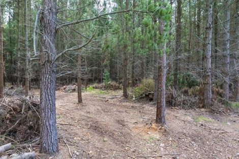 Photo of property in 243 Worlingham Road, Eyrewell, West Eyreton, 7476