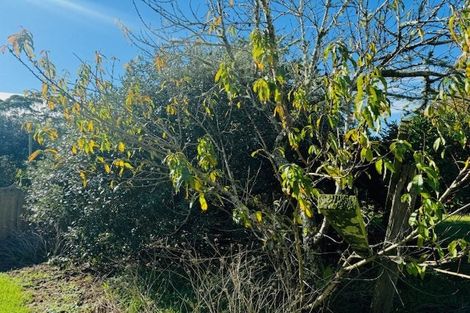 Photo of property in 66a Walker Road, Awanui, 0486