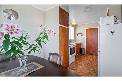 Photo of property in 195 Lagan Street, Bluff, 9814