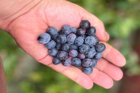 Photo of property in 150 Tilley Road, Paekakariki, 5034