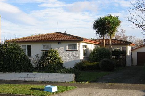 Photo of property in 29 Windsor Street, Terrace End, Palmerston North, 4410