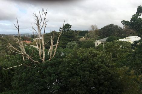 Photo of property in 335 Mount Eden Road, Mount Eden, Auckland, 1024