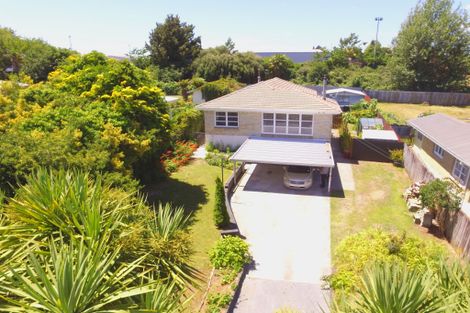 Photo of property in 54 Totara Street, Putaruru, 3411