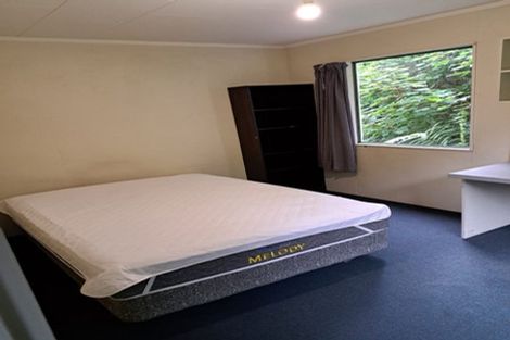 Photo of property in 63 Opoho Road, North East Valley, Dunedin, 9010