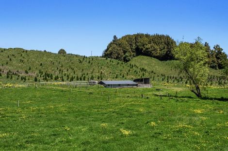 Photo of property in 414 Matahi Road, Rotoma, Whakatane, 3194