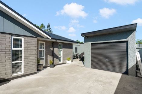 Photo of property in 77 Renall Street, Masterton, 5810