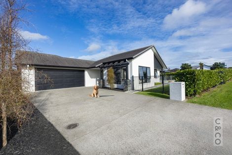 Photo of property in 19 Pohutukawa Parade, Riverhead, 0820