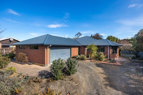 Photo of property in 1 Pratt Street, Waikouaiti, 9510