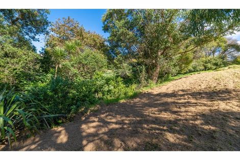 Photo of property in 59 Hauraki Road, Leigh, Warkworth, 0985