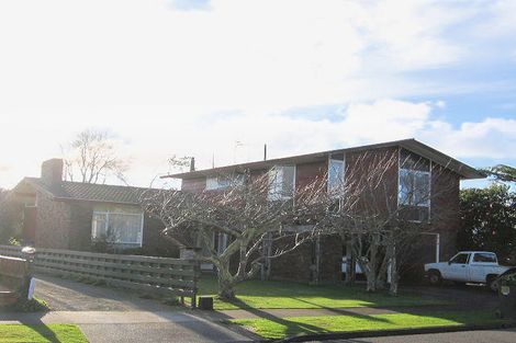 Photo of property in 52 Windsor Street, Terrace End, Palmerston North, 4410