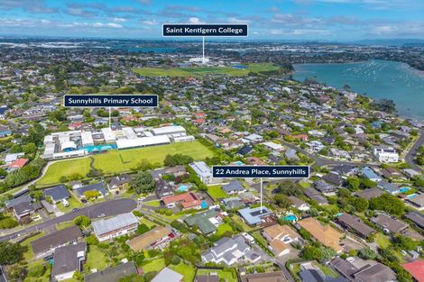 Photo of property in 22 Andrea Place, Sunnyhills, Auckland, 2010