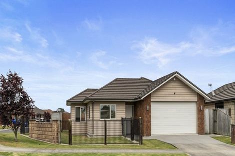 Photo of property in 145 Duke Street, Dinsdale, Hamilton, 3204