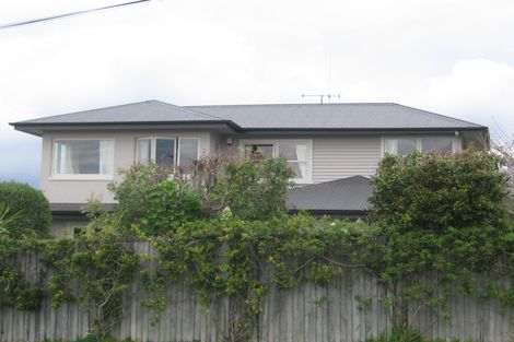 Photo of property in 47 Hinewa Road, Otumoetai, Tauranga, 3110