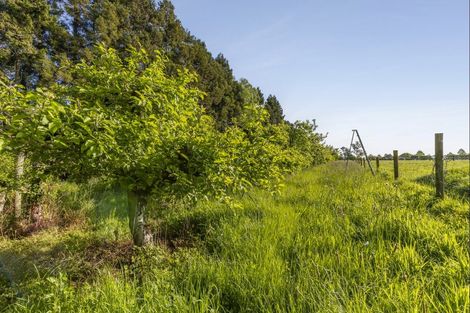 Photo of property in 161 Paton Road, Hope, Richmond, 7081