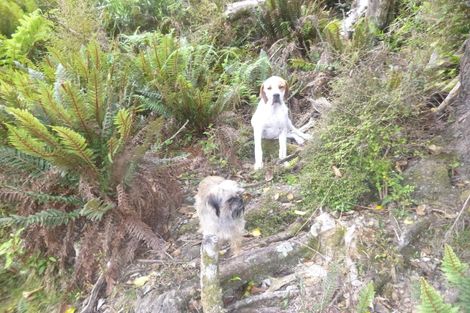 Photo of property in 26 Lookout Drive, Little Valley, Alexandra, 9320