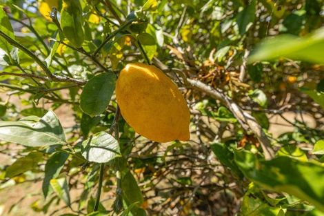 Photo of property in 222 Rayner Road, Huntly, 3700