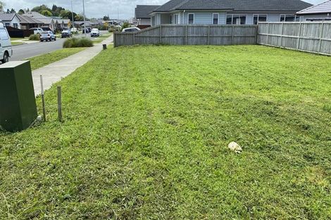 Photo of property in 17 Huamanu Street, Pukekohe, 2120