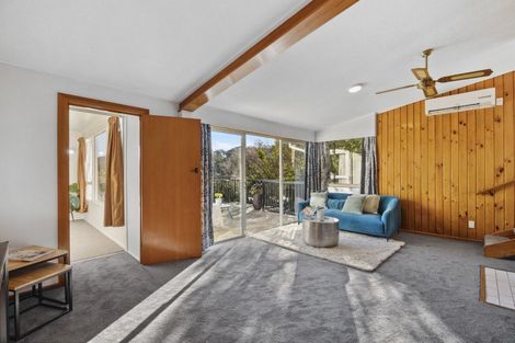 Photo of property in 4 Heath Street, Andersons Bay, Dunedin, 9013