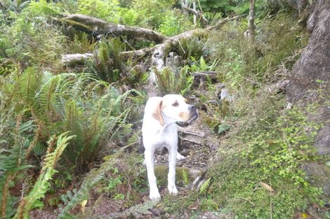 Photo of property in 26 Lookout Drive, Little Valley, Alexandra, 9320