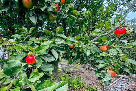 Photo of property in 9 Railway Terrace, Glentunnel, Coalgate, 7673