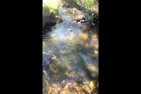 Photo of property in 14 Thompson Road, Kaitaia, 0482