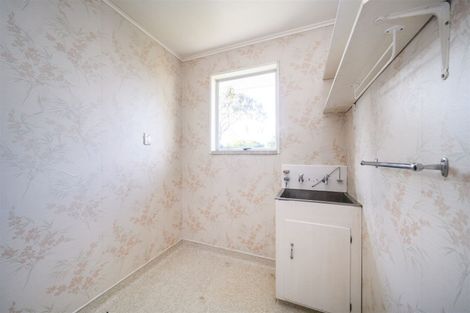 Photo of property in 166 Limbrick Street, Terrace End, Palmerston North, 4410