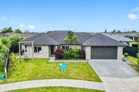 Photo of property in 20 Trauzer Place, Flagstaff, Hamilton, 3210