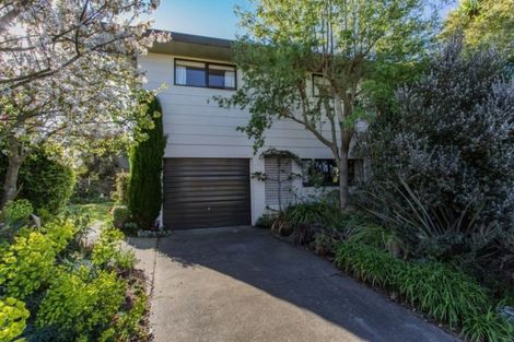 Photo of property in 8 Bankview Place, Amberley, 7410