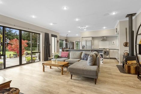 Photo of property in 51 Pattersons Road, Swannanoa, Rangiora, 7475