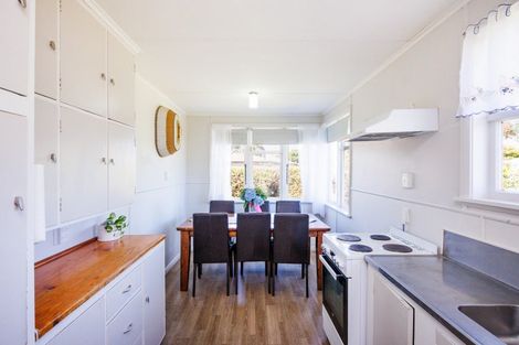 Photo of property in 125 Limbrick Street, Terrace End, Palmerston North, 4410