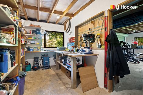 Photo of property in 193 Evans Street, Opoho, Dunedin, 9010