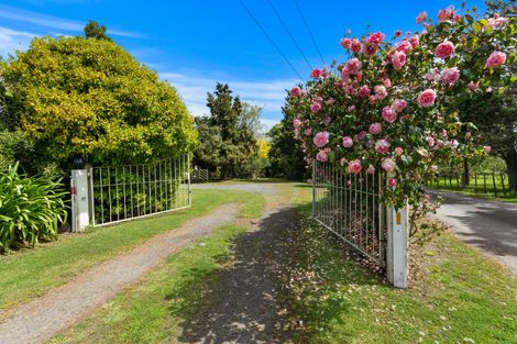 Photo of property in 43a Grayden Road, Morrinsville, 3375