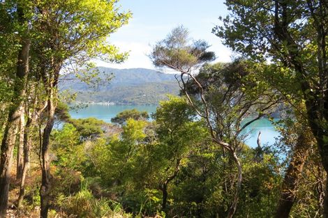 Photo of property in 614 Wyuna Bay Road, Wyuna Bay, Coromandel, 3581