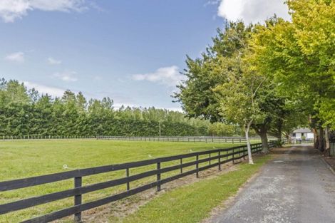 Photo of property in 191 Setters Line, Bunnythorpe, Palmerston North, 4478
