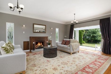 Photo of property in 48 Fraser Street, Tauranga South, Tauranga, 3112