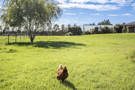 Photo of property in 375 Te Ahu Ahu Road, Waimate North, Kaikohe, 0472
