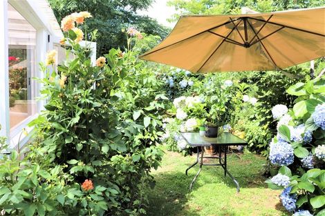 Photo of property in 124 Consols Street, Waihi, 3610