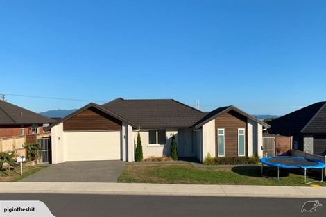 Photo of property in 91 Bert Wall Drive, Omokoroa, 3114