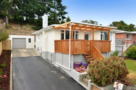 Photo of property in 503 Kaikorai Valley Road, Bradford, Dunedin, 9011