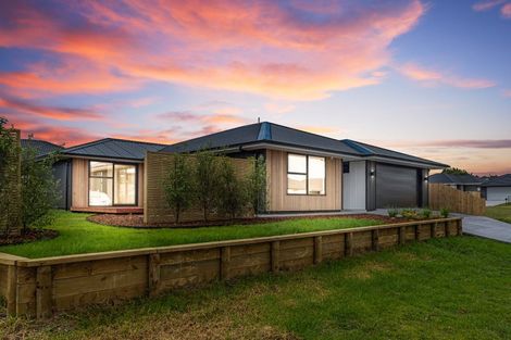 Photo of property in 125 Wairau Drive, Tikipunga, Whangarei, 0112