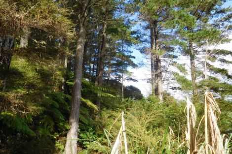 Photo of property in 195 Kapowai Road, Whenuakite, Whitianga, 3591