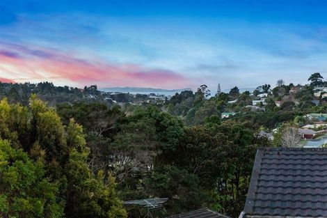 Photo of property in 41 Lingham Crescent, Torbay, Auckland, 0630