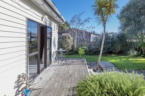 Photo of property in 4 Reeve Street, Levin, 5510