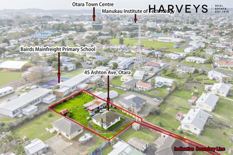 Photo of property in 45 Ashton Avenue, Otara, Auckland, 2023