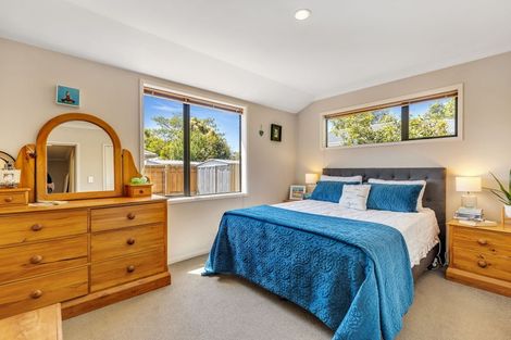 Photo of property in 33 Litchfield Street, Redwoodtown, Blenheim, 7201