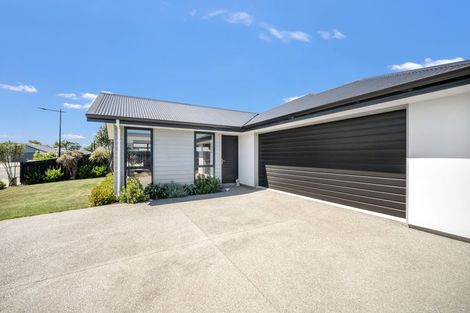 Photo of property in 3 Ascot Street, Richmond, 7020